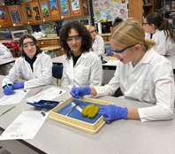 a middle school student using a microscope in science class